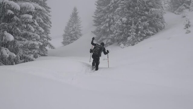 Man Ski Touring In Snow Covered Forest