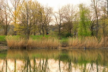 Fototapeta premium Regensburg, Germany: people are riding the bike on a rural road at sunset along Danube river in Regensburg, Germany, Europe.