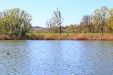 Regensburg, Germany: people are riding the bike on a rural road at sunset along Danube river in Regensburg, Germany, Europe.