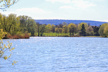 Regensburg, Germany: people are riding the bike on a rural road at sunset along Danube river in Regensburg, Germany, Europe.