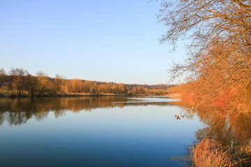 Fototapeta premium Regensburg, Germany: Autumn lake with dry reeds