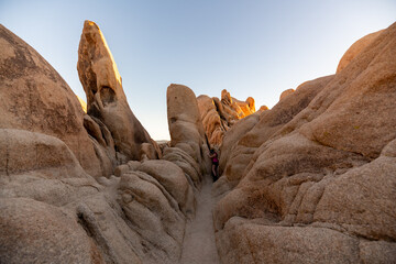 Desert landscape in Joshua Tree National Park, California at sunset.	