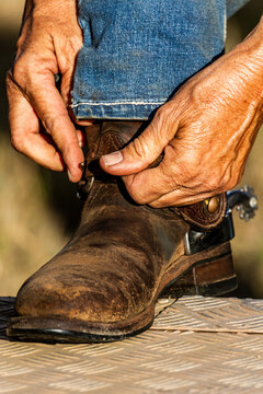 Close up of a lady's hands fastening her spurs onto her boots.