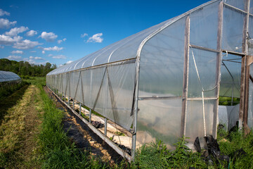 long side view of organic vegetable greenhouse in sunny farm field