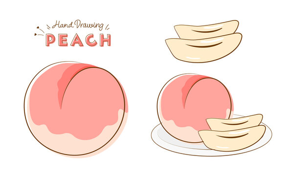 桃 イラスト Images Browse 3 353 Stock Photos Vectors And Video Adobe Stock