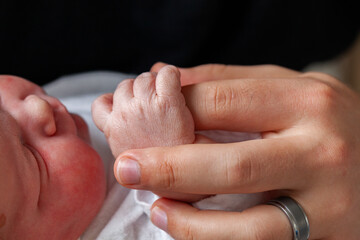 fathers hand holding tiny newborn baby's hand showing little fingers