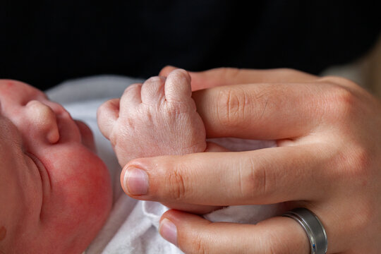 fathers hand holding tiny newborn baby's hand showing little fingers