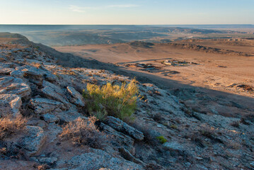 sunrise over the desert