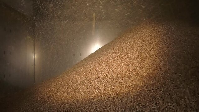 Pellets fly out of the machine. Production of pellets.