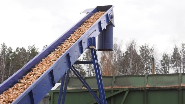 Wood Chipper Machine Filling Back Of Truck With wood chips. Work conveyor of an industrial wood shredder producing wood chips from roots in shredding machine the construction site