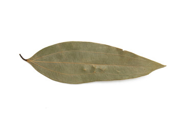 Dry bay leaves isolated on white background.