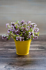 Fresh thyme flowers in a yellow small bucket. Fresh organic thyme flowers. Flowers of thyme creeping. Thyme. Phytotherapy. Selective focus.