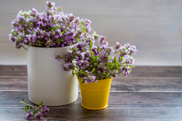 Fresh thyme flowers in a yellow small bucket and white cups. Fresh organic thyme flowers. Flowers of thyme creeping. Thyme. Phytotherapy. Selective focus.