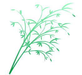 シンプルな笹の葉