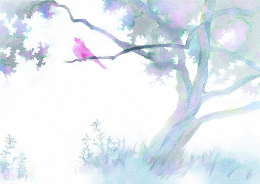 爽やかな森と樹木の水彩イラスト