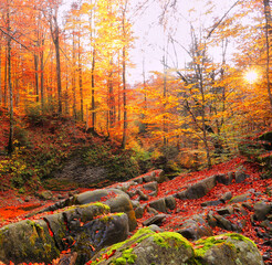 river in autumn forest, wonderful autumn sunrise image in mountains, autumn morning dawn, nature colorful background