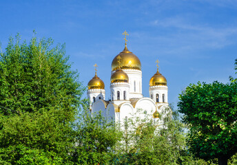 Fototapeta na wymiar golden domes of Orthodox Church against blue sky surrounded by green trees.