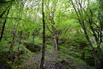 Vardzia Cave Monastery Trip Georgia