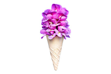 Pink acacia flowers in a waffle cone on white