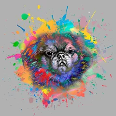 Foto auf Glas abstract colored dog muzzle isolated on colorful background © reznik_val