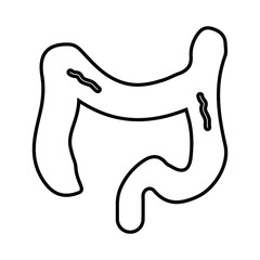Bowel, colon, proctology line icon. Outline vector.