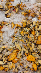 Abstract Defocused Raw mussels placed on ice are sold at a market in the Cikancung area, Indonesia