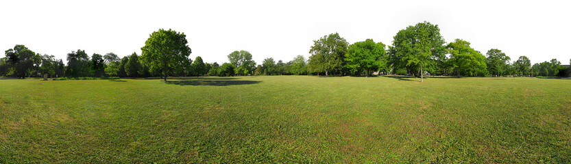 treeline 360° green meadow