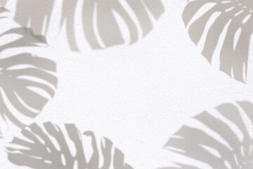 shadow of monstera  leaves on white wall, circle of leaves, open space in the middle © chbsc