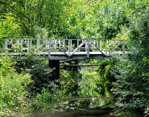 small footbridge covered in the green of a natural parkland