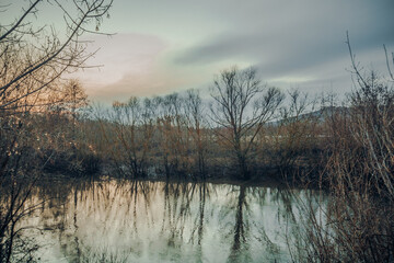 spring has come to nature