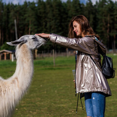 Pretty girl in open air zoo playing with lamas. 