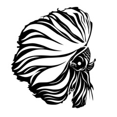 Betta Icon Vector. Great for logos.