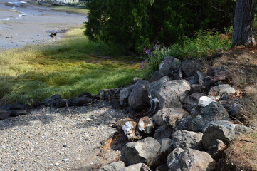 Landschaft am Puget Sound auf der Olympic Halbinsel, Washington