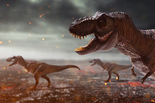 Dinosaurs 3d rendering, tyrannosaurus rex on top mountain