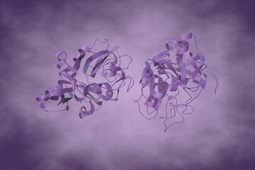 Crystal structure of human intelectin-1 or omentin. Ribbons diagram in very peri coloring. Rendering based on protein data bank entry 4wmq. Scientific background. 3d illustration