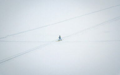 Cross-country skiing at winter field (aerial drone photo). Near Moscow, Russia