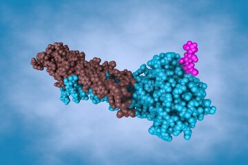 Space-filling molecular model of influenza virus hemagglutinin. Rendering with differently colored protein chains based on protein data bank entry 2viu. 3d illustration