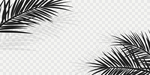 Summer tropical backgrounds with palms and transparent shadow.. Summer  poster or flyer . Summertime