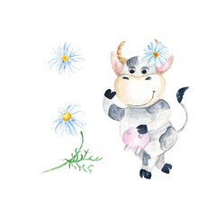 Cute baby cow with camomile isolated on white background. Watercolor hand drawn illustration.