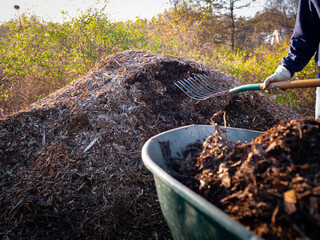 Hugelkultur no-dig raised bed