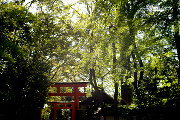 神社