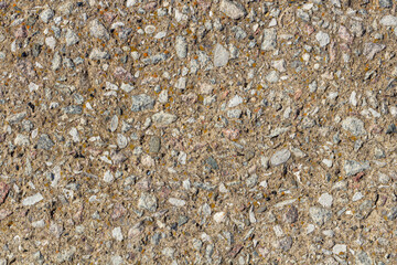 stone wall texture. pieces of shells stick out of the stone. textured design background