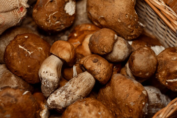 Wooden basket full of fresh boletus mushrooms