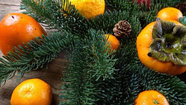 Abies nobilis branch with Mandarins, lemons, persimmons,