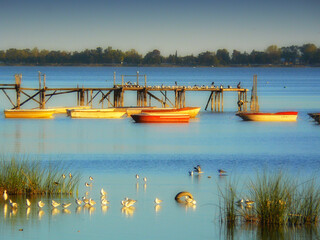 Boats moored at the pier of the Chascomus Buenos Aires lagoon