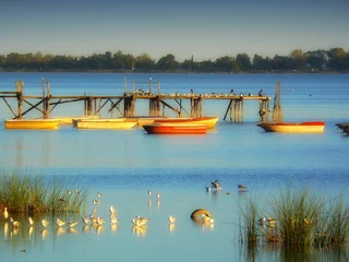 Rugzak Boten afgemeerd aan de pier van de Chascomus Buenos Aires-lagune © Gustavo