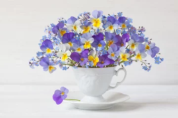  A bouquet of blue, violet, yellow pansies viola, forget me not flowers in a cup and saucer on a white table against the wall. Romantic postcard, blur, selective focus. © tachinskamarina