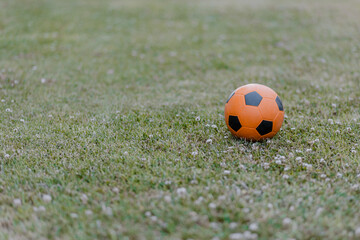 Fototapeta na wymiar Soccer ball on the grass. Orange ball.
