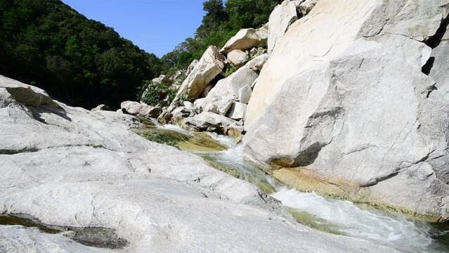 Rushing river of Travu (or Travo) near the village of Chisa, fresh water stream flowing on rock. Chisa, Corsica, France