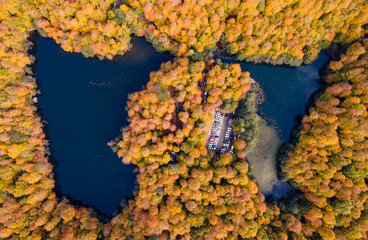 Filmed with drone. autumn colors and trees